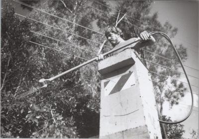 PHOTOGRAPH: 'PATRICK BEHAN, TREE PRUNING CREW', JUNE 1993