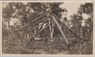 PHOTOGRAPH: SCOUTS BUSH CAMP