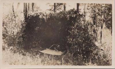 PHOTOGRAPH: BUSH SHELTER AND BED, SCOUTS BUSH CAMP