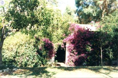 PHOTOGRAPH (DIGITAL): HOUSE AT 34 BEDFORD AVENUE, SUBIACO, LIZ ANDERSON COLLECTION, 1996