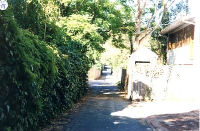 PHOTOGRAPH (DIGITAL): LANEWAY ON BEDFORD AVENUE, SUBIACO, LIZ ANDERSON COLLECTION, 1996