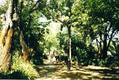 PHOTOGRAPH (DIGITAL): THEATRE GARDENS, SUBIACO, LIZ ANDERSON COLLECTION, 1996