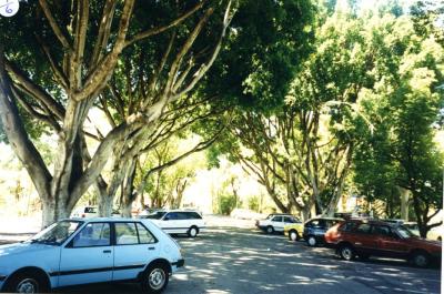 PHOTOGRAPH (DIGITAL): THEATRE GARDENS CARPARK, SUBIACO, LIZ ANDERSON COLLECTION, 1996