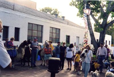 PHOTOGRAPH (DIGITAL): FORREST WALK PETS PARADE, SUBIACO EVENTS, LIZ ANDERSON COLLECTION, 1997