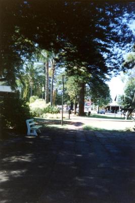 PHOTOGRAPH (DIGITAL): RANKIN GARDENS, SUBIACO, LIZ ANDERSON COLLECTION, 1998