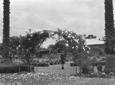 PHOTOGRAPH (DIGITAL): ARCH IN ROSE GARDEN IN SUBIACO MUNICIPAL GARDENS