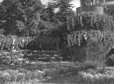 PHOTOGRAPH (DIGITAL): WATER TOWER IN SUBIACO MUNICIPAL GARDENS