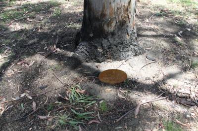 PHOTOGRAPH (DIGITAL): KYLE ABBOTT PLAQUE, CHARLES STOKES RESERVE, DAGLISH, NOVEMBER 2011