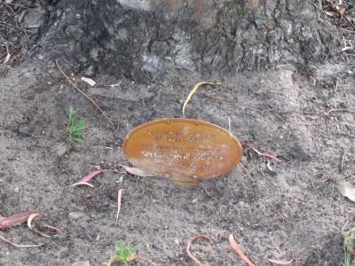 PHOTOGRAPH (DIGITAL): KYLE ABBOTT PLAQUE, CHARLES STOKES RESERVE, DAGLISH, NOVEMBER 2011