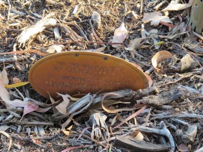 PHOTOGRAPH (DIGITAL): GEORGE PODMORE PLAQUE, CHARLES STOKES RESERVE, DAGLISH, NOVEMBER 2011