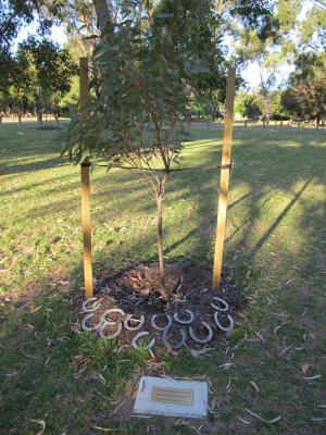 PHOTOGRAPH (DIGITAL): PLAQUE AND HORSESHOES, CHARLES STOKES RESERVE, DAGLISH, NOVEMBER 2011
