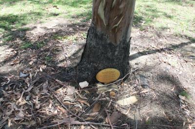 PHOTOGRAPH (DIGITAL): CECIL MCPHEE PLAQUE, CHARLES STOKES RESERVE, DAGLISH, NOVEMBER 2011