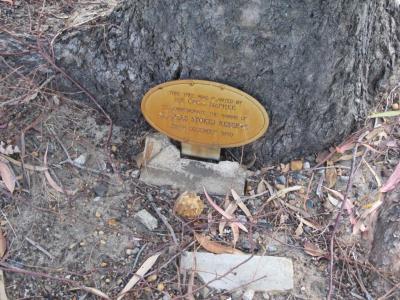 PHOTOGRAPH (DIGITAL): CECIL MCPHEE PLAQUE, CHARLES STOKES RESERVE, DAGLISH, NOVEMBER 2011