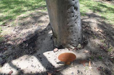 PHOTOGRAPH (DIGITAL): GEORGE EAKINS PLAQUE, CHARLES STOKES RESERVE, DAGLISH, NOVEMBER 2011