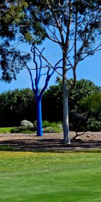 MGGC BLUE TREE PROJECT