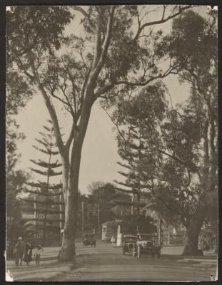 PHOTOGRAPH: THE TRAM TERMINUS, KING'S PARK GATES