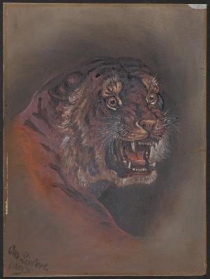 PAINTING: 'TIGER', OTTO LIPFERT