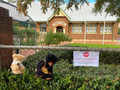 PHOTOGRAPH (DIGITAL): COVID 19 SIGNAGE AND TEDDY BEARS, SUBIACO PRIMARY SCHOOL, JUNE 2020