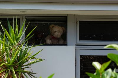 PHOTOGRAPH (DIGITAL): COVID 19 MESSAGES OF HOPE, TEDDY BEAR IN A WINDOW, JUNE 2020