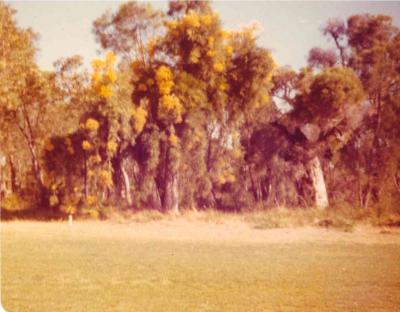 GOLF COURSE VIEWS LATE 1976