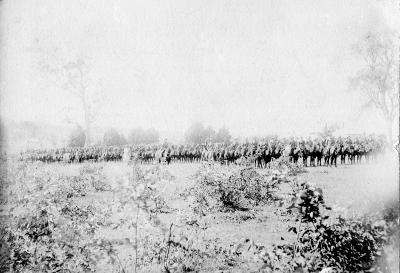 Pre 1914, Australia, Queensland, Toowoomba, Queensland Mounted Infantry, Easter 1895