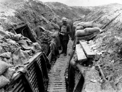 World War 1, Western Front, Trench