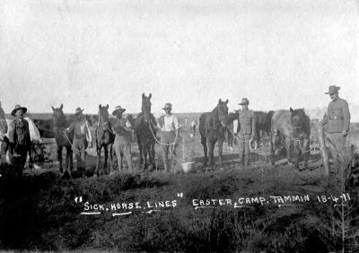 Pre 1914, Western Australia, Tamin Camp, 1911