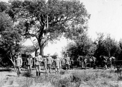 Pre 1914, Western Australia, Karrakatta, LE SOUEF, 1905