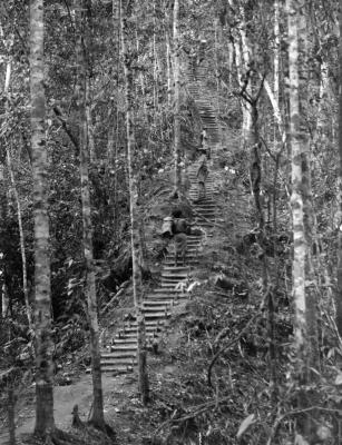 World War 2, South West Pacific Theatre, Papua Hew Guinea, Golden Stairs, 1942