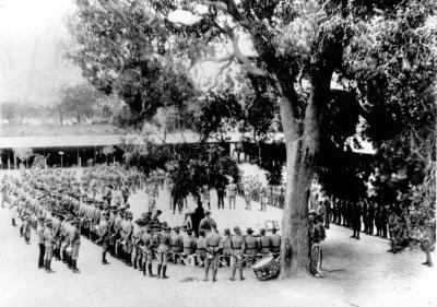 Pre 1914, Western Australia, Kalgoorlie, Goldfields Regiment, 