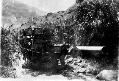 World War 1, South West Asia, Palestine, Captured Turkish Gun, 1918