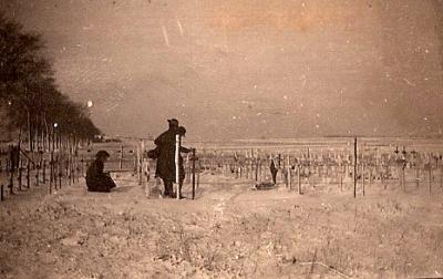 World War 1, Villers Bretonneux, France