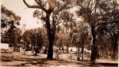 World War 2,Western Australia, Melville Camp