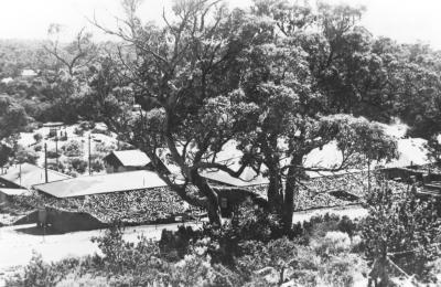 World war 2, Western Australia, Rottnest Island, Oliver Hill, Artillery Camp, 1942