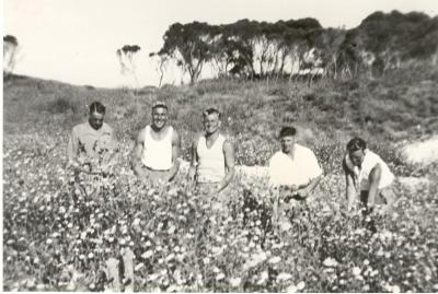 Inter War, Western Australia, Rottnest Island, Informal photo, Service personnel picking daisies (named)