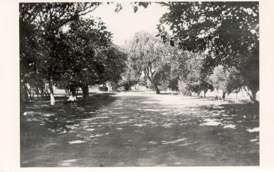 Inter War, Western Australia, Rottnest Island. Thomson Bay Settlement