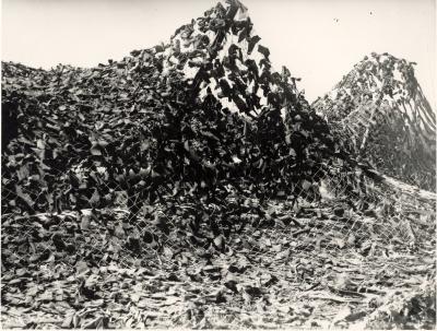 World War 2, Western Australia, Fortress Fremantle, Swanbourne Battery, 1939