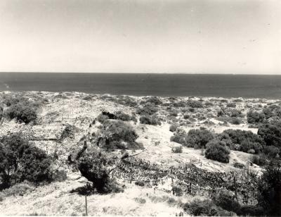 World War 2, Western Australia, Fortress Fremantle, Swanbourne Battery, 1943