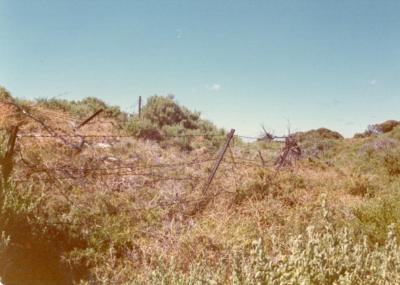 post 1975, Western Australia, Rottnest Island, Oliver Hill Battery. Perimeter barbed wire 1974