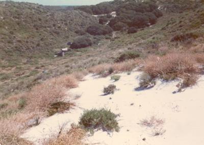 post 1945, Western Australia, Rottnest Island, Oliver Hill, Erosion