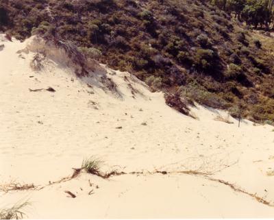 Western Australia, Rottnest Island, Oliver Hill. Perimeter wire from gun