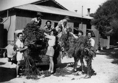Western Australia, Rottnest Island, Bickley Australian Womens Army Service Camp, Informal photo with names