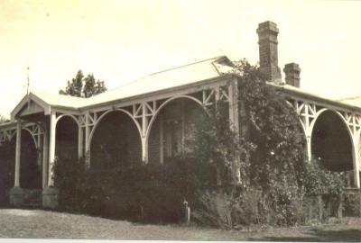 SHARKEY COLLECTION - WAINOMI 1928
