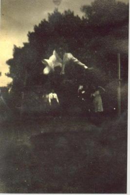 SHARKEY COLLECTION - THE HIGH JUMPER