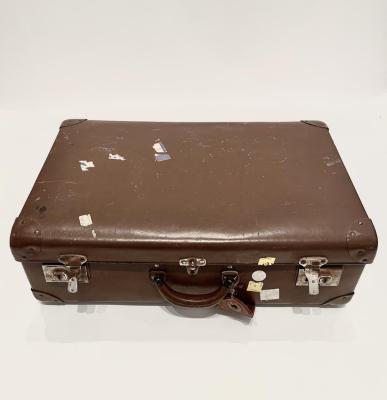 TRUNK: GLOBITE TRAVEL CASE