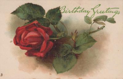 POSTCARD: LILLIAN DENNIS 'BIRTHDAY GREETINGS' RED ROSE