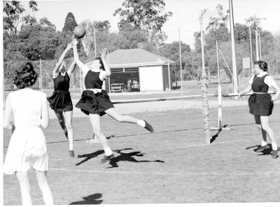 Photograph: Robertson Park, Training Session
