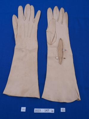 GLOVES