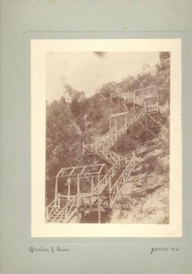 OSBORNE STEPS