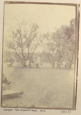 METHODIST LADIES' COLLEGE GROUNDS 1919